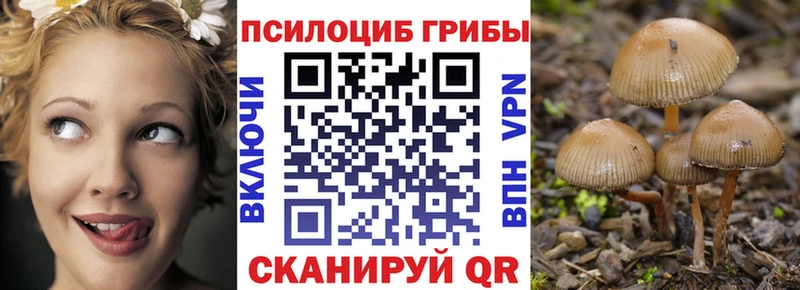 цены   Ряжск  Псилоцибиновые грибы Cubensis 